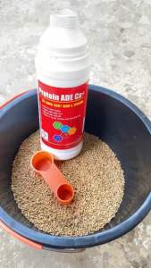 Protein ADE Ca+ Dinh dưỡng nuôi gà gà chọi giúp gà ăn mạnh bóng lông nhanh cự