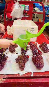 *Ready-Limited*Manual Juice Squeezer PP Plastic Hand Pressure/High Quality/手动榨汁器/高品质PP塑料
