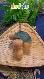 ช่อลำไย ผลไม้ปลอม ผลไม้จำลอง | #ช่อลำไย #ผลไม้ปลอม #ผลไม้จำลอง | ลำไย ช่องที่ 1