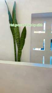 PUSHOP HANGING WALLET SAKO 03: Tas Hanphone Pria Wanita Hanging Wallet Coin