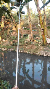 STIK SPRAYER PANJANG 2 METER SPRAYER SEMPROT ELECTRIC