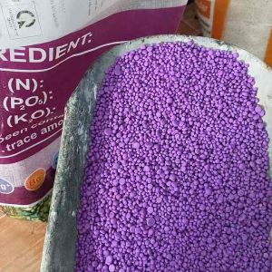 Chiết lẻ từ bao 25kg- Phân bón NPK 15-5-25 tím phì trái cho cây trái túi lẻ 1kg