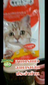 Zoicat อาหารแมว ราคา โครตถูกใจ แบ่งขาย ชนิดเม็ด สีแดง มีสีเดียว เม็ดเล็กกินง่าย สบายเหมียว ๆ ขนาด 1กิโล/แพค ***ถุงแดงของโรงงาน***มี ของแถมทุกคำสั่งซื้อ ***