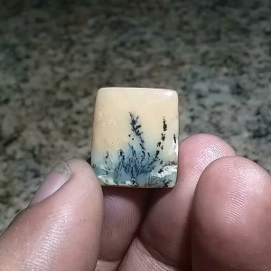 Asli Natural Batu Dendrite Motif 2cm A84