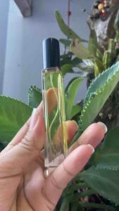 TINH DẦU SẢ CHANH NGUYÊN CHẤT 100ML