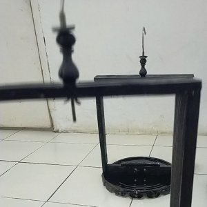 Sangkar Burung Kutilang Layang Jumbo: Pemilihan & Pemeliharaan