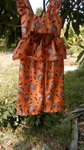 กางเด็กลาบูฟักทอง. ขาปล่อย