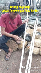 Tangkringan Burung Kayu Kopi Panjang 50cm-2m Diameter 1-7cm Model Lurus Kupas Partisi Dekorasi