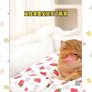 [READY STOCK] Pet Sofa Bed Cat Bed Dog Bed Pet cushion Sleeping Bed | Katil Tilam Kuching | 宠物床宠物窝 猫狗睡床