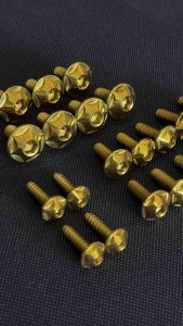 น็อตชุดสี น็อตเลสแท้ (ลายดาว)ทอง กลึงมือ เวฟ110i ปี(09-18) 21ตัว