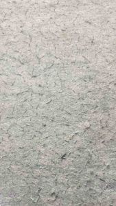 Sepatu Anak Perempuan Labubu | Sepatu Olahraga Anak | Sepatu Jogging Anak