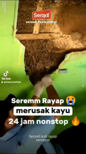 Cairan Semprotan Pembasmi Rayap Kayu dan Tanah - Seroxil Anti Rayap Kayu dan Tanah