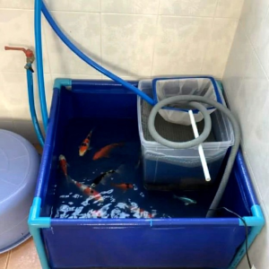 กระชังบกบ่อผ้าใบ PE 200 Super ความหนา 0.35 mm คุณภาพ มาตรฐานการใช้งาน