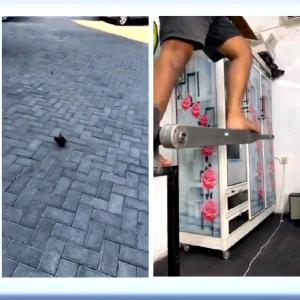 Impact wrench APR JAPAN AP78+ JUMBO FACELIFT 99V 1800NM 1/2inch fullset mesin pembuka baut ban roda truck mobil CVT motor dll