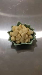 Raw Australian Macadamia Nut 澳洲夏威夷果 (Halal) Repack 250g