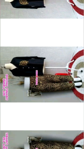 Setelan Lengan Panjang Polos & Motif Leopard: Panduan Lengkap