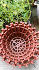 combo 5 chậu giả gỗ trồng lan phi 19cm