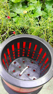 chậu cây tự tưới nước- chậu tự dưỡng thông minh đường kính 16cm