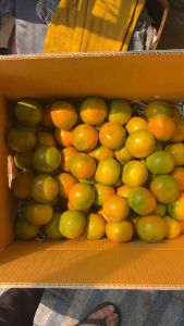 ส้มสายน้ำผึ้ง อำเภอฝาง (แบบคัดพิเศษ)