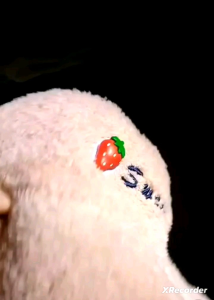 T.I - Topi Anak dan Remaja Sweet Strawberry Bucket Hat Import