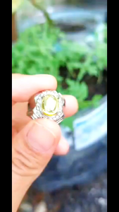 Cincin bermata golden Citrine kuning gold dim 10mm terlaris