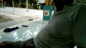 Manfaat Minyak Totor & Kesehatan