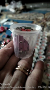 soft frog mini 3 cm Berat 5 gr umpan ikan gabus Lure paling kiler dan jitu