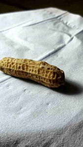 Pajangan batu kacang ornamen fengsui