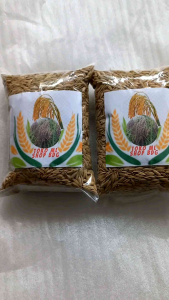 Bibit Ketan Hitam Pilihan 1000 Gram: Mutu Terjamin