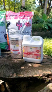 ดินกุหลาบ 10 แถม 3 (แถมดิน 2 ถุง และ ปุ๋ยบำรุง 80 กรัม ) ดินปลูกกุหลาบ ดินปุ๋ยผสม พร้อมปลูก Rose Soil Little TTREE Factory