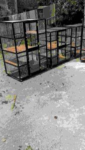 Kandang Kucing Alumunium 2 Kamar