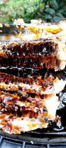 MADU SARANG (honey comb) 400gram ORIGINAL FULL NEXTAR HUTAN AKASIA RIAU