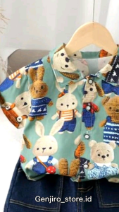 Setelan Baju Anak Laki-Laki (KEMEJA RABIT) Untuk Anak Usia 6 Bulan sampai 4 Tahun bisa COD