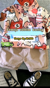 Setelan Baju Anak Laki-Laki (KEMEJA PRINT) Untuk Anak Usia 6 Bulan sampai 4 Tahun bisa COD