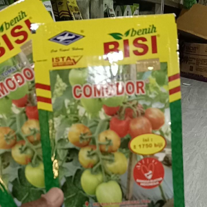 COMODOR Benih Tonat hibrida 5gr Original