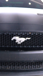 Wash World Automotive Wash Shampoo 250 ml.