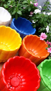 combo 5 chậu treo trồng cây trang trí ban công size lớn 22x14cm kèm móc.