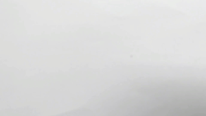 Benih Biji Melon Madu Paket 1 Kg & Bibit Melon Madu Super