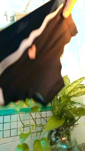 Combo 10 quần suQuần lót hình gấu quần lót hình timcombo 10 quần lót không đường may