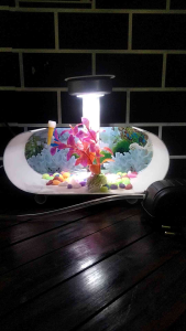 akuarium mini viral 22cm x 9cm x 10cm full set lengkap dengan mesin dan aksesorinya