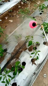 SAMITE 135 EC 100ml INSEKTISIDA AKARISIDA