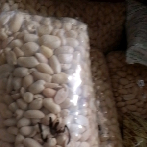 kacang tanah kupas/kacang tanah kupas mentah jumbo 1kg