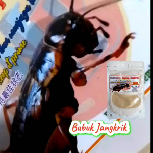 Bubuk Jangkrik. Tepung Jangkrik Untuk Burung Pemakan Serangga. Trucuk Kutilang Murai Kacer Dll