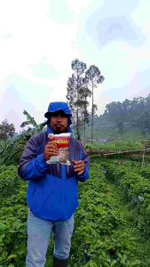 INSEKTISIDA RACUN | NEMAGUARD 1 KG | HAMA TANAH