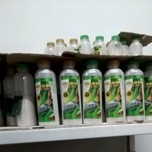 KEMIN HIJAU EXTRA KERAS untuk kaki ayam supaya lebih keras