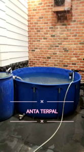 Kolam terpal bulat Diameter 2M tinggi 80Cm full set untuk ikan lele koi hias merk orchid