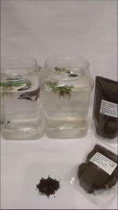 Protein 47%-Taiwan MICRO (Floating )Fish Pellet Size 1mm For Betta Guppy Molly Sword Fish and All Tropical Fish