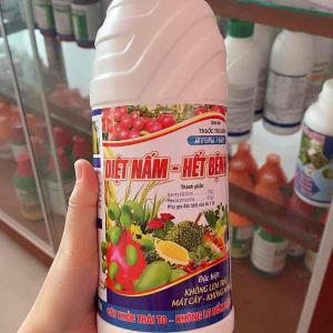 Nấm hồng phấn trắng cây trồng chai 1 lít