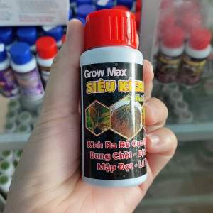 Kích rễ Grow max cho mai vàng 50ml