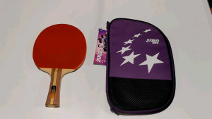 Bat Tenis Meja DHS: Panduan Lengkap untuk Pemula